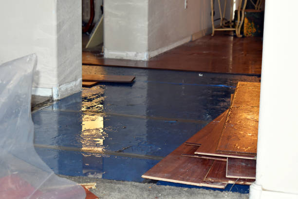 Professional Water Damage Restoration technician working in Stratton, OH